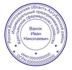 требования к печати для ип
